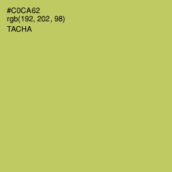 #C0CA62 - Tacha Color Image