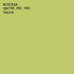 #C0CA6A - Tacha Color Image