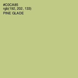 #C0CA85 - Pine Glade Color Image