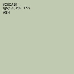 #C0CAB1 - Ash Color Image