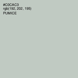 #C0CAC3 - Pumice Color Image