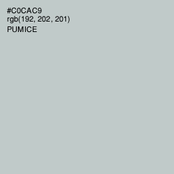 #C0CAC9 - Pumice Color Image