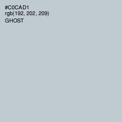 #C0CAD1 - Ghost Color Image