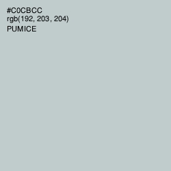 #C0CBCC - Pumice Color Image