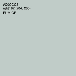 #C0CCC8 - Pumice Color Image