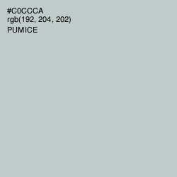 #C0CCCA - Pumice Color Image