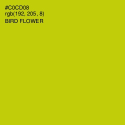 #C0CD08 - Bird Flower Color Image