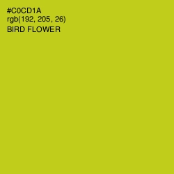 #C0CD1A - Bird Flower Color Image