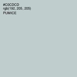 #C0CDCD - Pumice Color Image