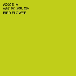 #C0CE1A - Bird Flower Color Image