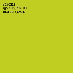 #C0CE21 - Bird Flower Color Image