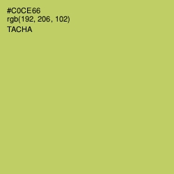 #C0CE66 - Tacha Color Image