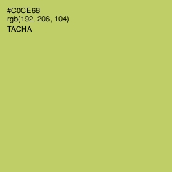 #C0CE68 - Tacha Color Image