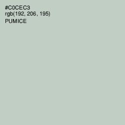 #C0CEC3 - Pumice Color Image