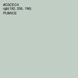 #C0CEC4 - Pumice Color Image