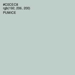 #C0CEC8 - Pumice Color Image