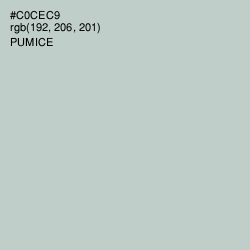 #C0CEC9 - Pumice Color Image