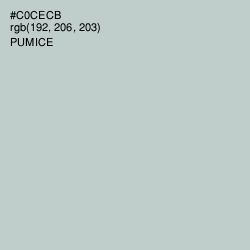 #C0CECB - Pumice Color Image