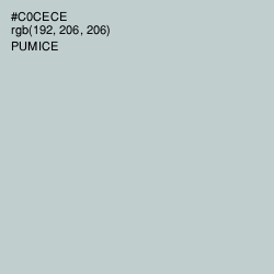 #C0CECE - Pumice Color Image