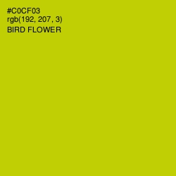 #C0CF03 - Bird Flower Color Image