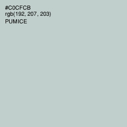 #C0CFCB - Pumice Color Image