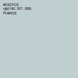 #C0CFCE - Pumice Color Image