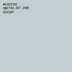 #C0CFD0 - Ghost Color Image