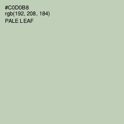 #C0D0B8 - Pale Leaf Color Image