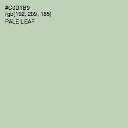 #C0D1B9 - Pale Leaf Color Image