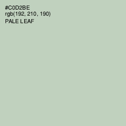 #C0D2BE - Pale Leaf Color Image