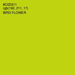 #C0D311 - Bird Flower Color Image