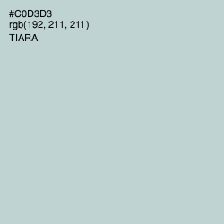 #C0D3D3 - Tiara Color Image