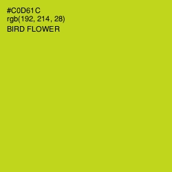 #C0D61C - Bird Flower Color Image