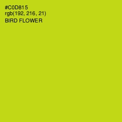 #C0D815 - Bird Flower Color Image