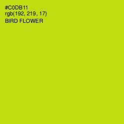 #C0DB11 - Bird Flower Color Image