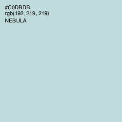 #C0DBDB - Nebula Color Image
