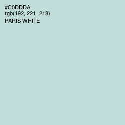 #C0DDDA - Paris White Color Image