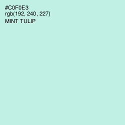 #C0F0E3 - Mint Tulip Color Image