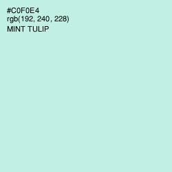 #C0F0E4 - Mint Tulip Color Image