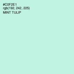 #C0F2E1 - Mint Tulip Color Image