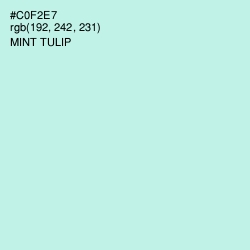 #C0F2E7 - Mint Tulip Color Image