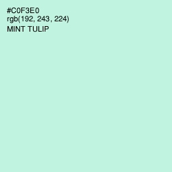 #C0F3E0 - Mint Tulip Color Image