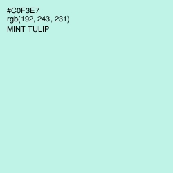 #C0F3E7 - Mint Tulip Color Image