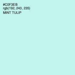 #C0F3EB - Mint Tulip Color Image