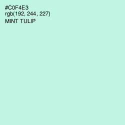#C0F4E3 - Mint Tulip Color Image