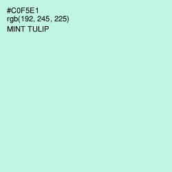 #C0F5E1 - Mint Tulip Color Image