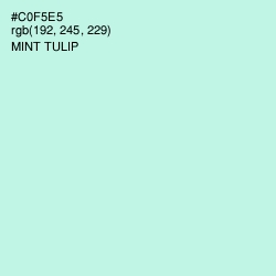 #C0F5E5 - Mint Tulip Color Image