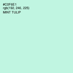 #C0F6E1 - Mint Tulip Color Image