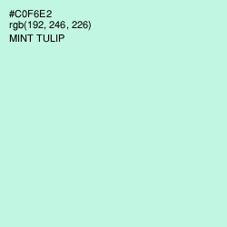 #C0F6E2 - Mint Tulip Color Image