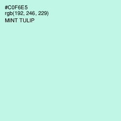 #C0F6E5 - Mint Tulip Color Image